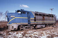 E&LS 1205