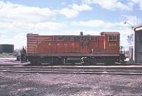 E&LS 204