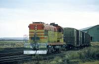 ONW 4