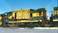 OIM 931