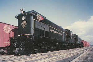 WM 175