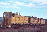 Weyerhaeuser 101