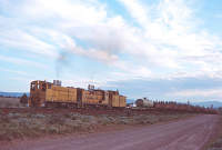 Weyerhaeuser 101