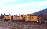 Weyerhaeuser 101