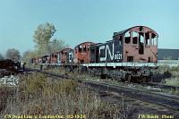 CN 8021